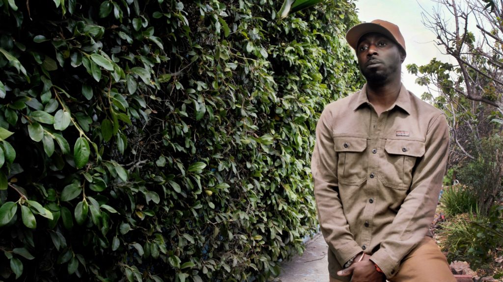 Ice On Fire Doc Di Caprio