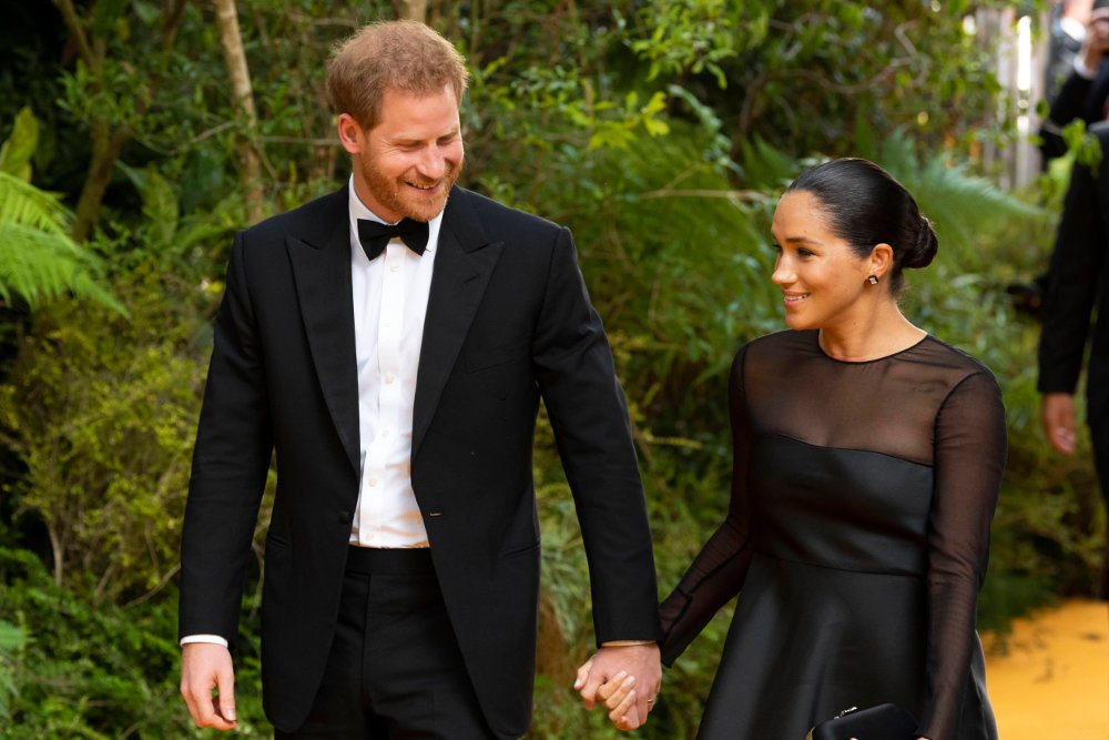 meghan markle principe harry protocollo portiera auto, Ambientalisti contro Harry Meghan