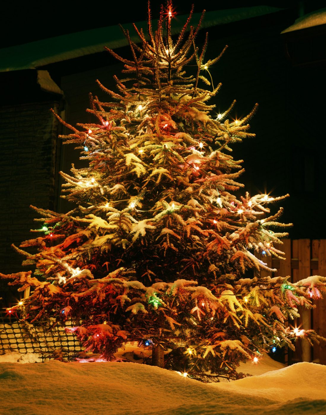 Non disfa l'albero di Natale da più di 40 anni: ecco il motivo