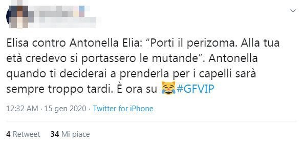 gf vip antonella elia elisa de panicis