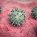 Virus di Marburg: ecco cos’è e quali sono i suoi sintomi