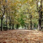 Visite Guidate e Trekking storico-ambientali nei Parchi e Ville di Roma
