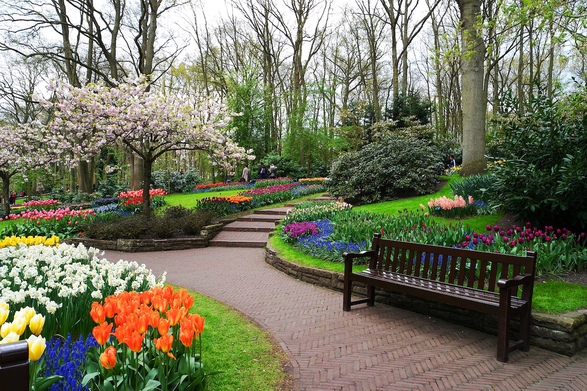 Il parco Keukenhof in Olanda