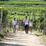 28 agosto – Tra vini e piatti tradizionali prende il via la 34° Mangialonga di La Morra