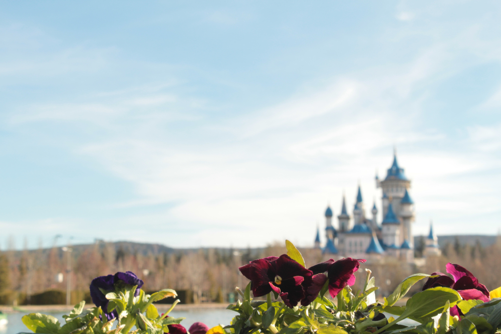 I castelli della Disney