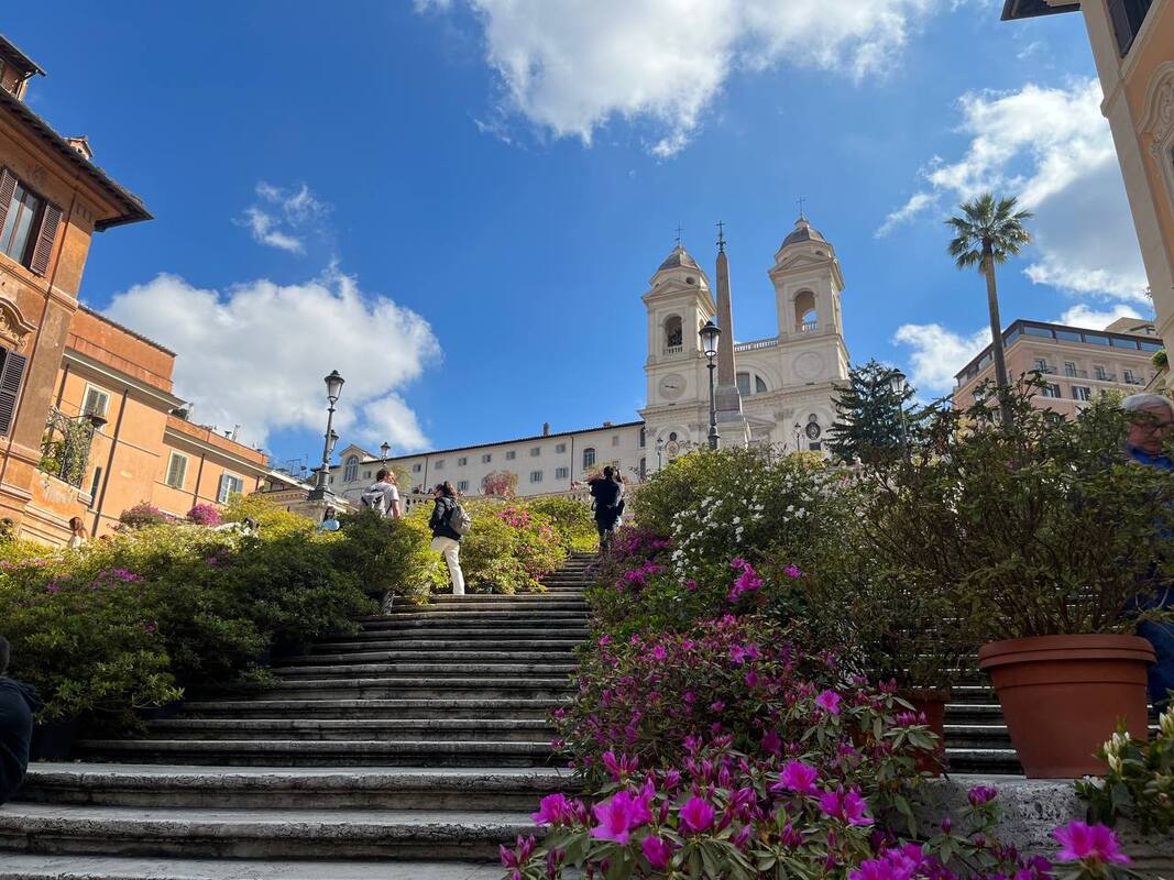 primavera azalee in fiore Roma scalinata piazza di Spagna