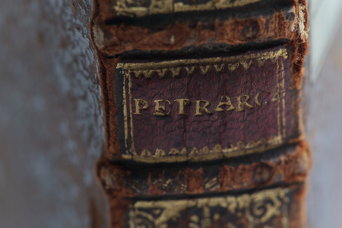 Petrarca libro
